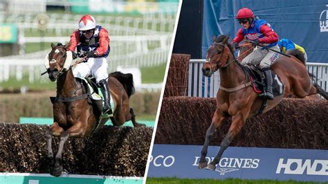 2024 bet365 Gold Cup contenders: assessing the key runners for .